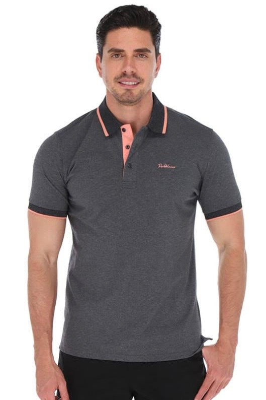 Tipo Polo Gris Jaspeado